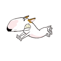 Bull Terrier Running Sticker by Jimmy the Bull