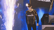 Esports Champion GIF by BASILISK Research