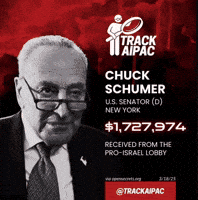 Chuck Schumer Israel GIF by Respective