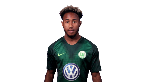 Football Soccer Sticker by VfL Wolfsburg