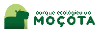 Cacapava Sticker by Caçapava Oficial