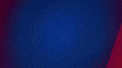 Germany Football GIF by Holstein Kiel