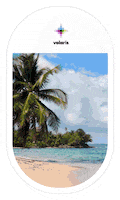 Travel Fly GIF by Volaris
