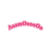 Amo Sticker