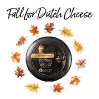 Fall Autumn Sticker by Gayo Azul