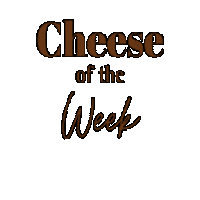 Cheese Delicatessen Sticker by Aubrey Allen
