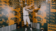 Baseball Bison GIF by NDSU Athletics