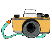 Film Camera Photography Sticker