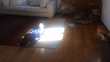 Baby Infatuated by Dog, Who Can't be Bothered