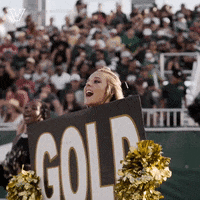Happy Lets Go GIF by Vanderbilt Athletics