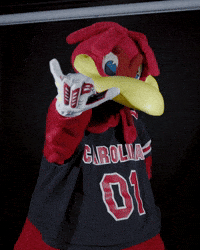 Mascot Usc GIF by University of South Carolina