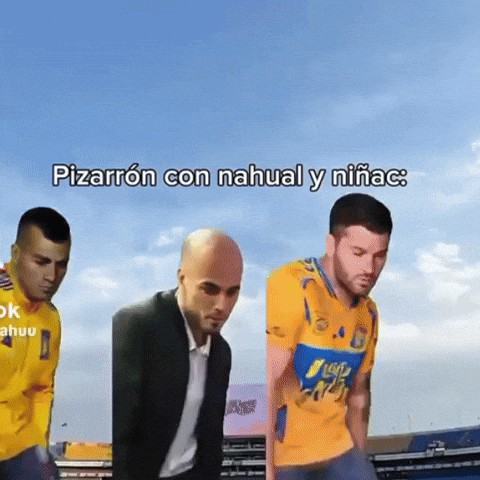 Tigres Uanl GIF