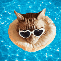Summer Time Vacation GIF
