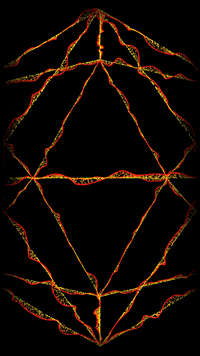 Render Digital Art GIF by time