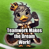 Teamwork Makes The Dream Work Soccer GIF by sirduckbeth