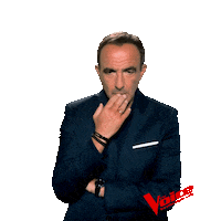 The Voice Sticker by ITV STUDIOS FRANCE