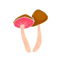 Fall Mushrooms Sticker by Emilia Desert