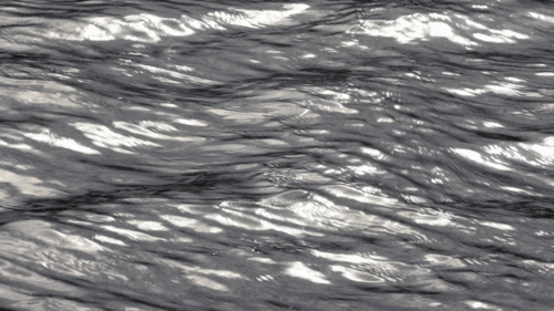 black and white water GIF