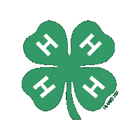 Beyond Ready Sticker by 4-H