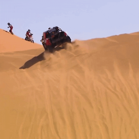GIF by Red Bull