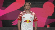 Rb Leipzig Yes GIF by Bundesliga