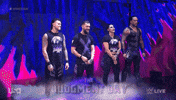 Wwe Wrestling GIF by USA Network