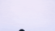 Texas Tech Ncaa GIF by Texas Tech Baseball