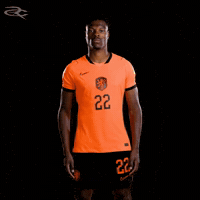 Fifa World Cup Uefa GIF by Respective