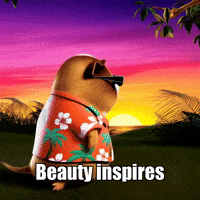 Beauty Wisdom GIF by Guinea Gambino
