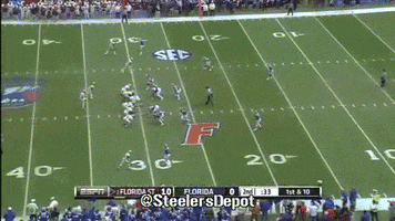kelvin benjamin steelers GIF
