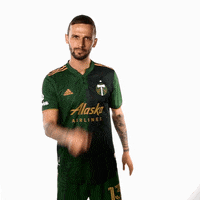 Portland Timbers Sport GIF by Timbers