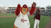 GIF by Frisco RoughRiders