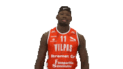 Sport Basketball Sticker by Basket_fi