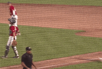 Happy Game GIF by Fort Wayne TinCaps