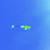 kellmanmartinez nature animal bird fly GIF