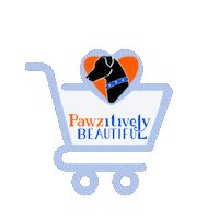 Black Dog Cats Sticker by Pawzitively Beautiful