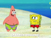 season 6 GIF by SpongeBob SquarePants
