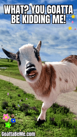 No Way Seriously GIF by Goatta Be Me Goats! Adventures of Java, Toffee, Pumpkin and Cookie!