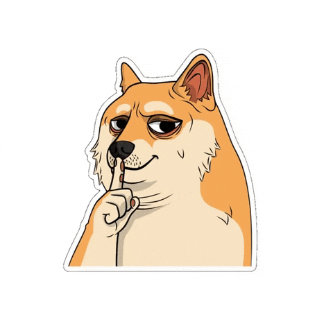 Surprised Dont Tell Anyone GIF by Doge Pound