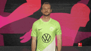 Vfl Wolfsburg Smile GIF by Bundesliga