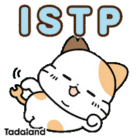 Cat Ok Sticker