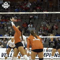 Happy Texas Longhorns GIF by NCAA Championships