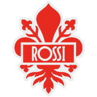 Asgfirenze Sticker by Studio Variabile