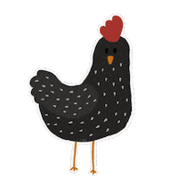 Chicken Sticker by ayoungdesign