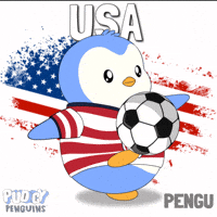 United States Football GIF by Pudgy Penguins