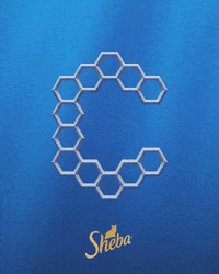 Letter Alphabet GIF by Sheba Official