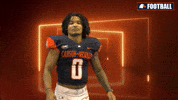 Cnfb GIF by Carson-Newman Athletics