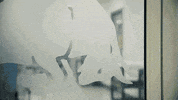 formula 1 f1 GIF by Red Bull Racing