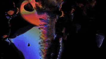 united states submission GIF by The Savannah .GIF Festival