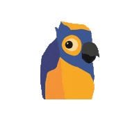 zoo parrot Sticker